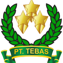 cropped-tebas-icon-1.png